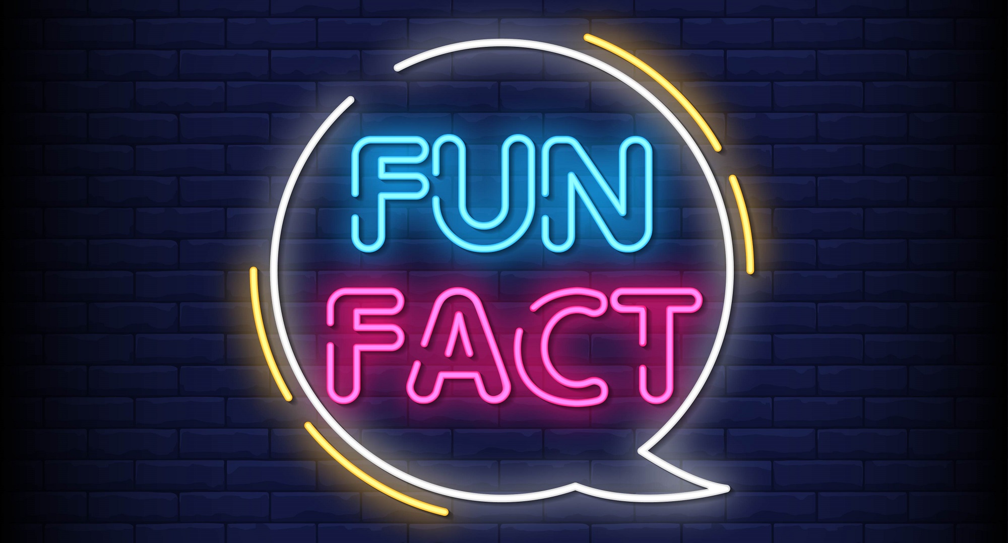 Fun Facts About Translation ITC Canada